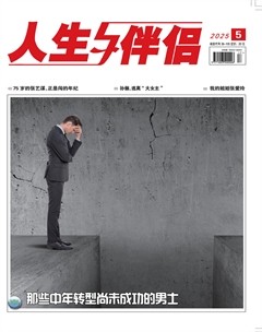 人生与伴侣·综合版