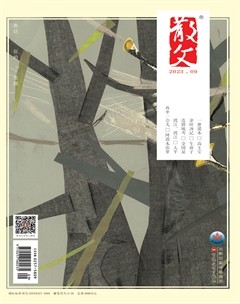 散文2023年第9期