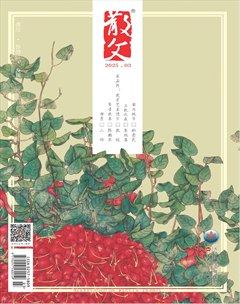 散文