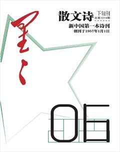 星星·散文诗