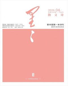 星星·散文诗