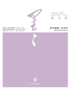 星星·散文诗