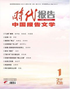 时代报告