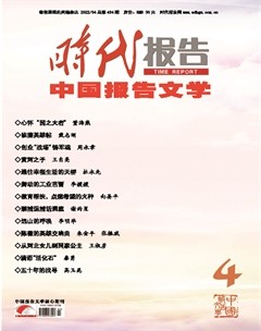 时代报告