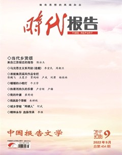 时代报告