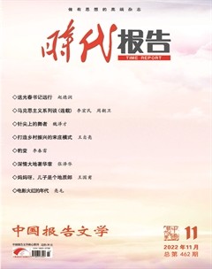 时代报告