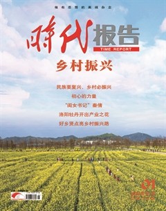 时代报告