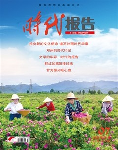 时代报告