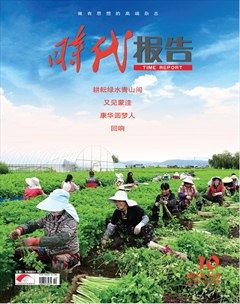 时代报告