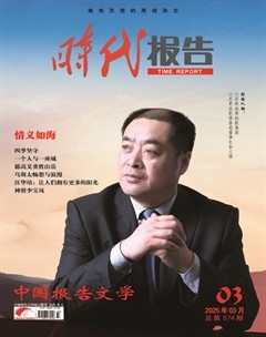 时代报告