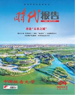 时代报告