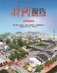 时代报告
