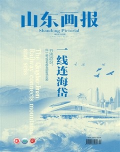 山东画报