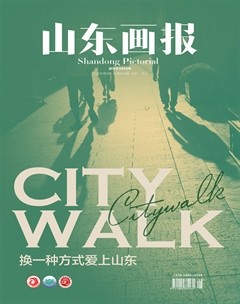 山东画报