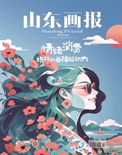 山东画报