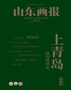 山东画报