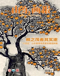 山东画报