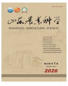 山东农业大学学报（社会科学版）