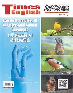 时代英语·初中