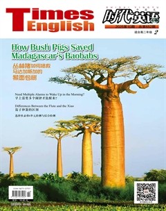 时代英语·高二