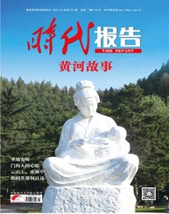 时代报告·中国报告文学