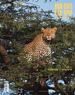 摄影世界