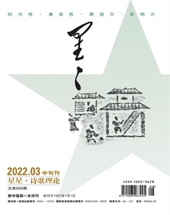 星星·詩歌理論