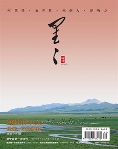 星星·诗歌理论