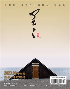 星星·诗歌理论