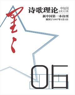 星星·诗歌理论