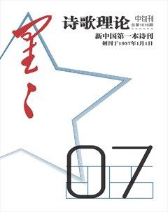 星星·诗歌理论
