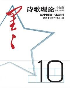 星星·诗歌理论