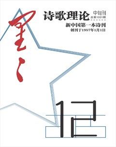 星星·诗歌理论