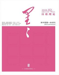 星星·诗歌理论