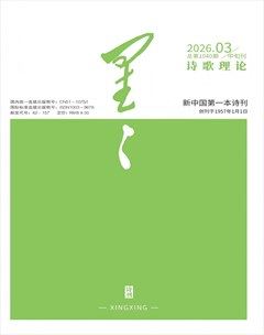 星星·诗歌理论