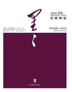 星星·诗歌理论