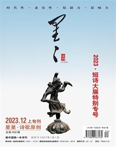 星星·诗歌原创