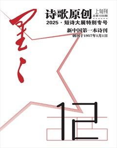 星星·诗歌原创