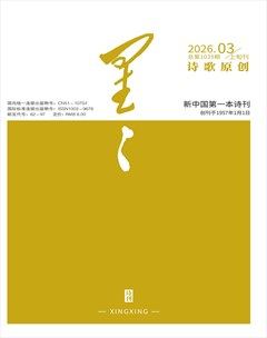 星星·诗歌原创