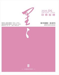 星星·诗歌原创