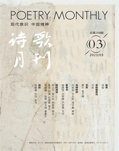 诗歌月刊