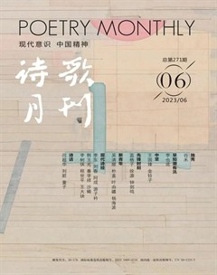 诗歌月刊