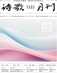 诗歌月刊