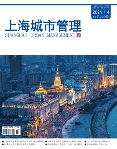 上海城市管理