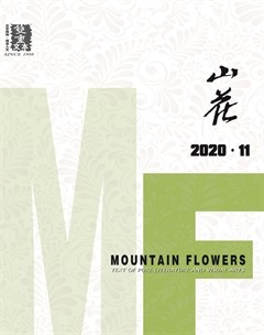 山花杂志封面