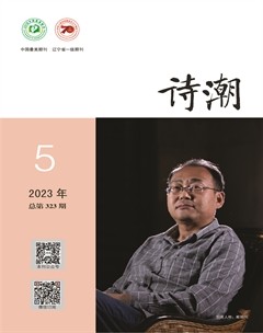 诗潮