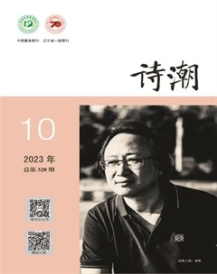 诗潮