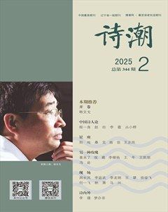 诗潮