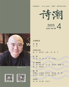 诗潮