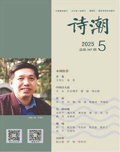 诗潮
